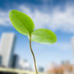 ホームページ開設